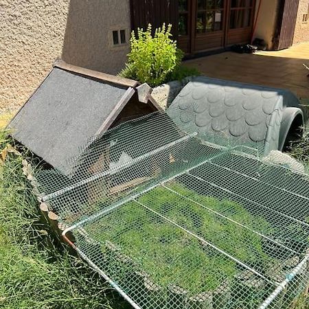 Maison Familiale Idealement Situee Avec Tout Le Confort ニーム エクステリア 写真